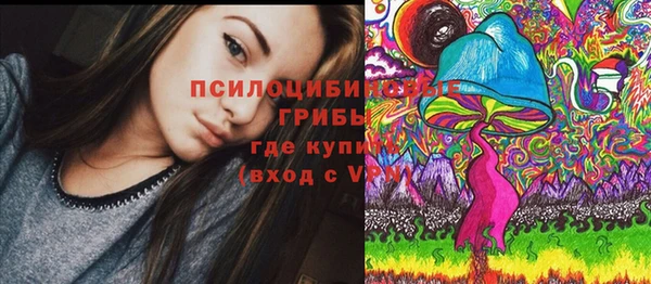 а пвп мука Каменногорск