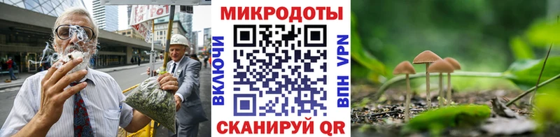 Купить где  Туринск  Галлюциногенные грибы прущие грибы 