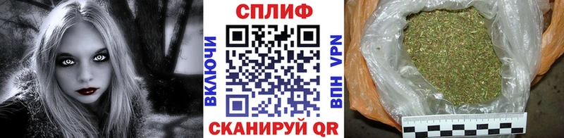 Купить закладки  Туринск  Бошки марихуана VHQ 